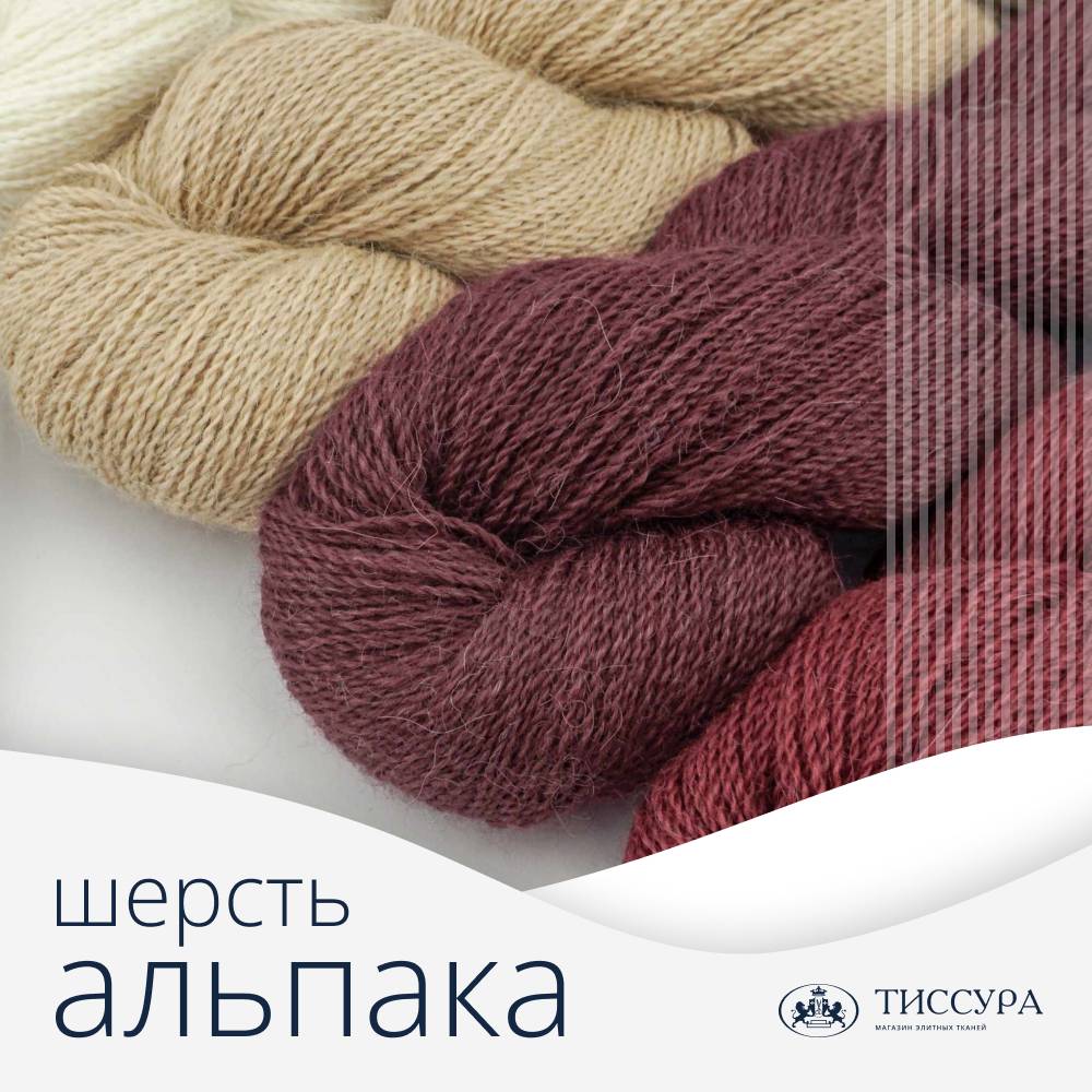 Логотип ''Шерсть альпака цена'' Логотип ''Шерсть альпака цена''