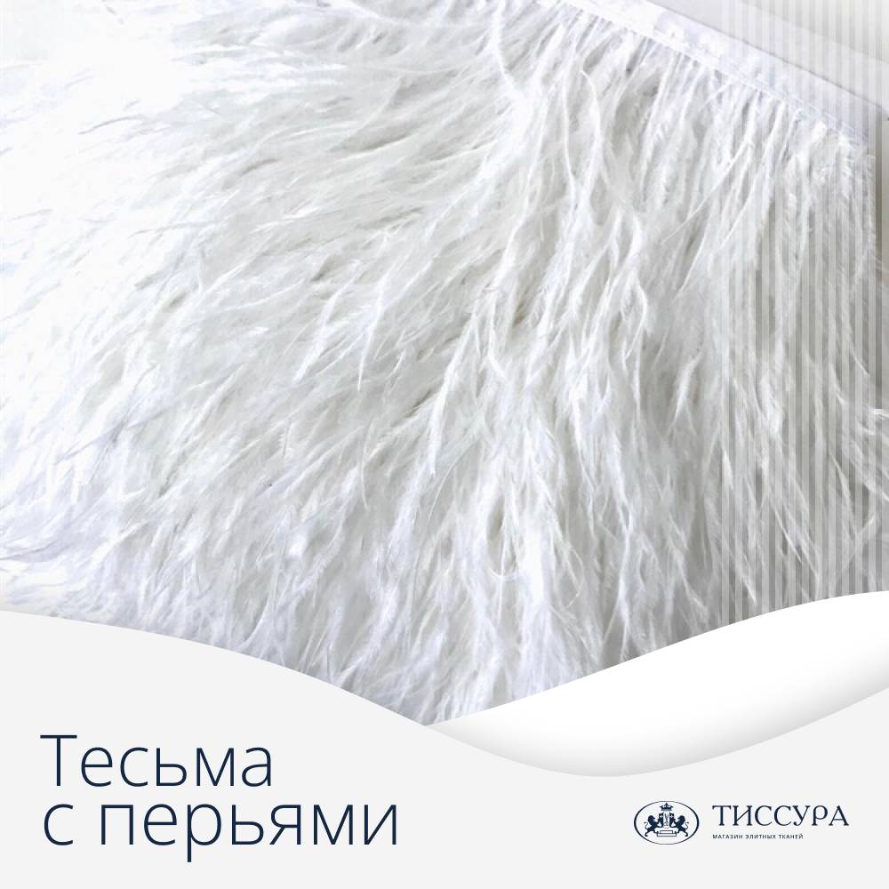 Логотип ''Тесьма с перьями''