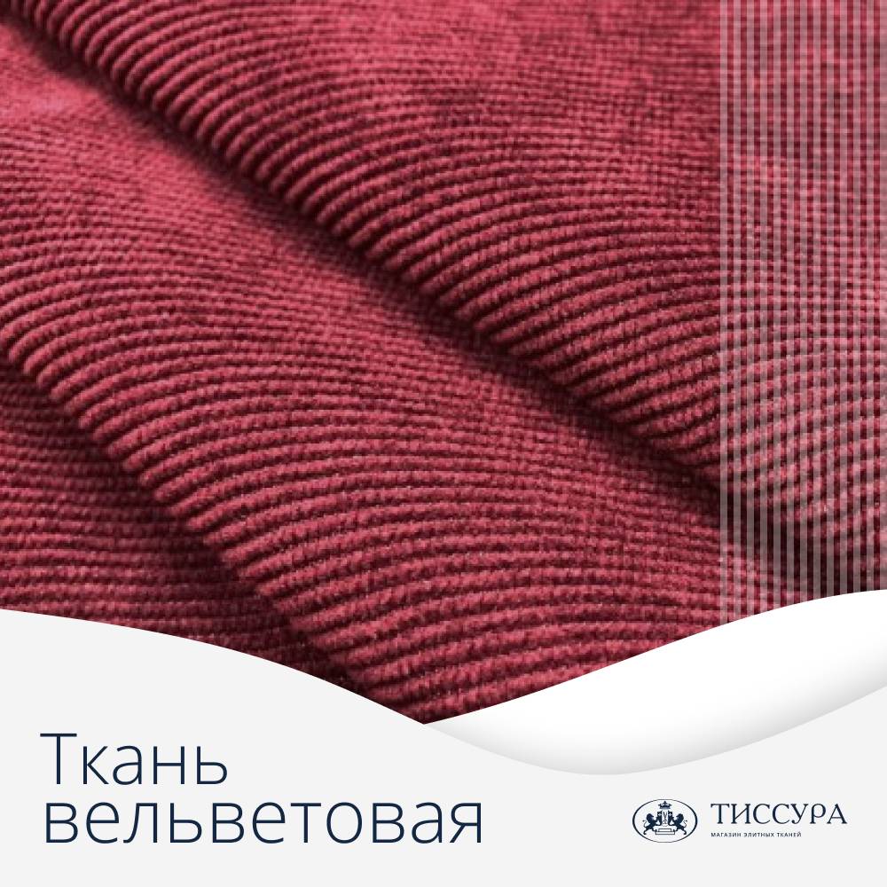 Логотип ''Вельветовая ткань тиссура каталог''