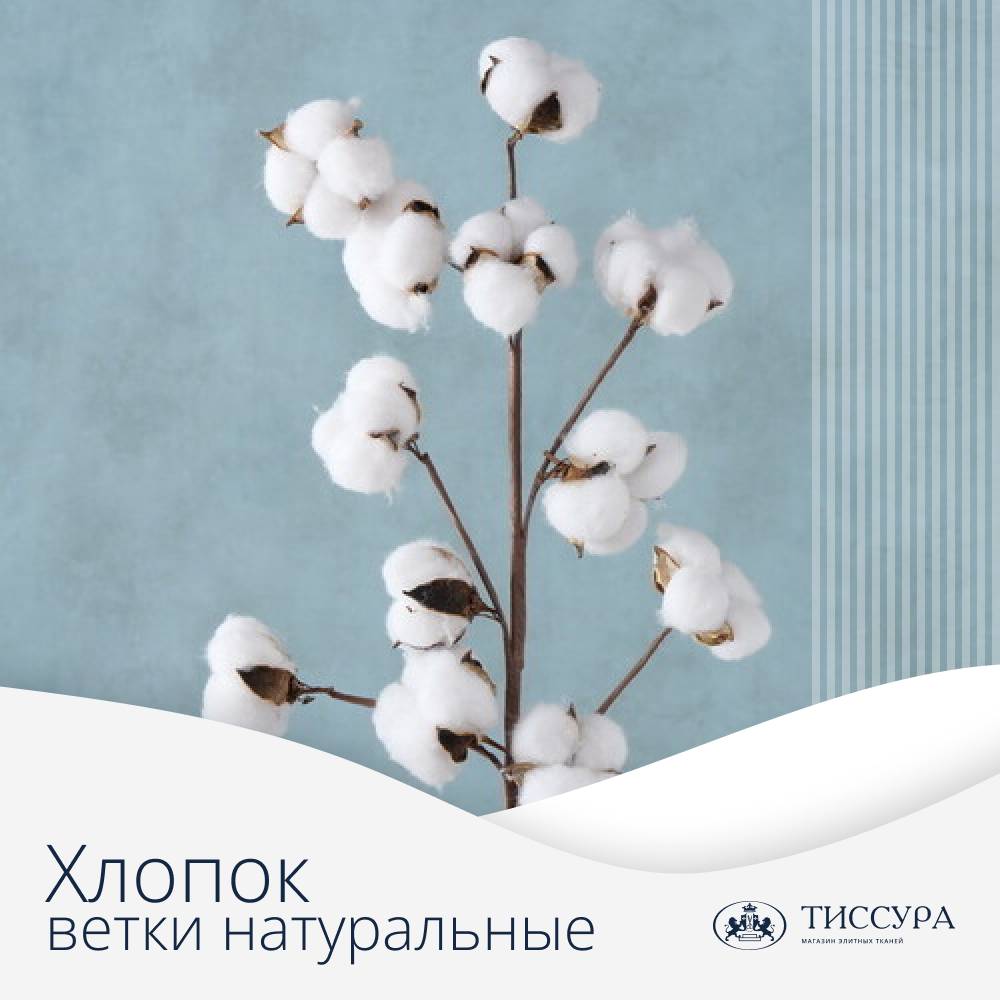 Логотип ''Хлопок ветки натуральные купить'' Логотип ''Хлопок ветки натуральные купить''