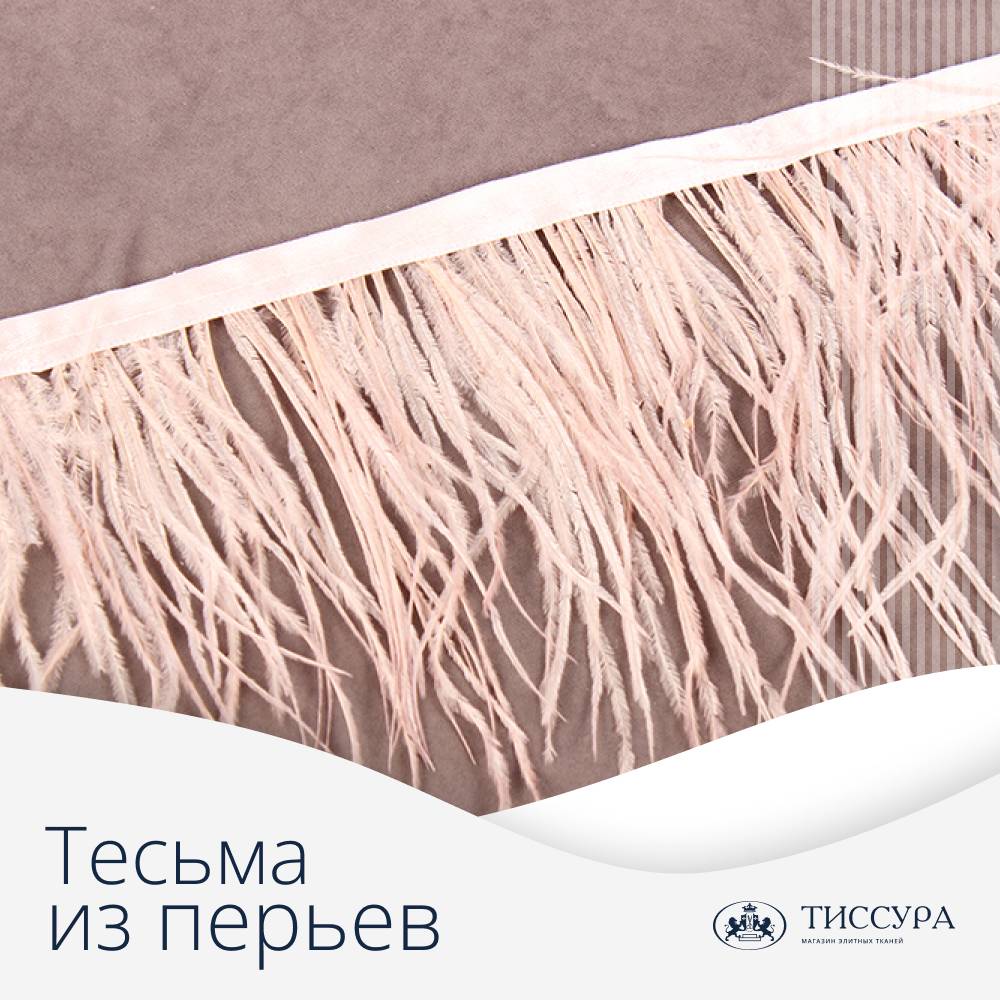 Логотип ''Тесьма из перьев'' Логотип ''Тесьма из перьев''