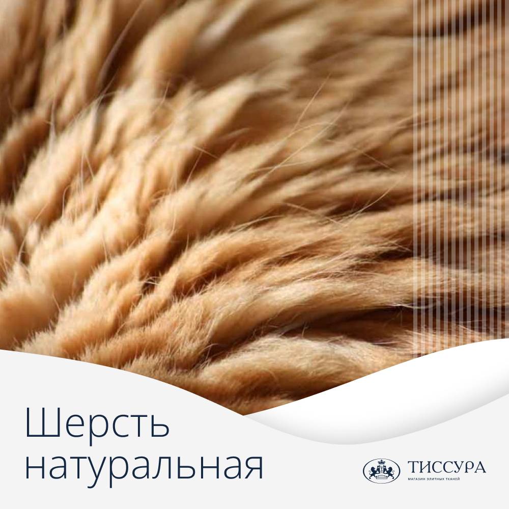 Логотип ''Натуральная шерсть'' Логотип ''Натуральная шерсть''