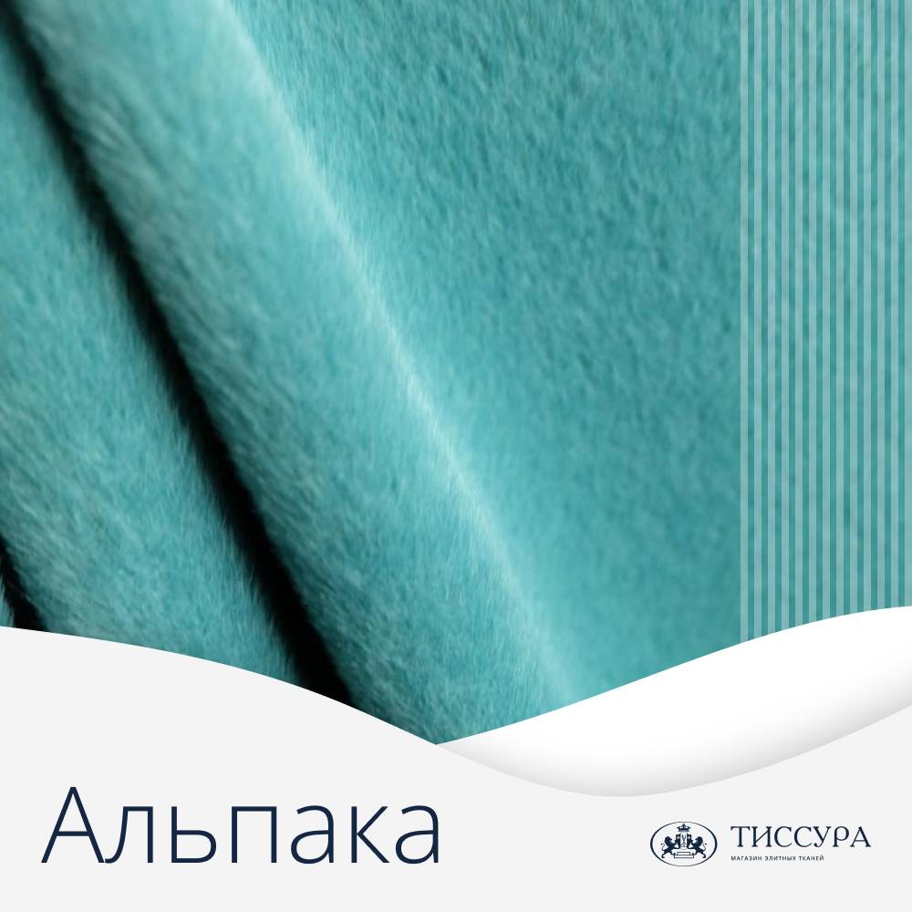 Логотип ''Шерсть альпака'' Логотип ''Шерсть альпака''