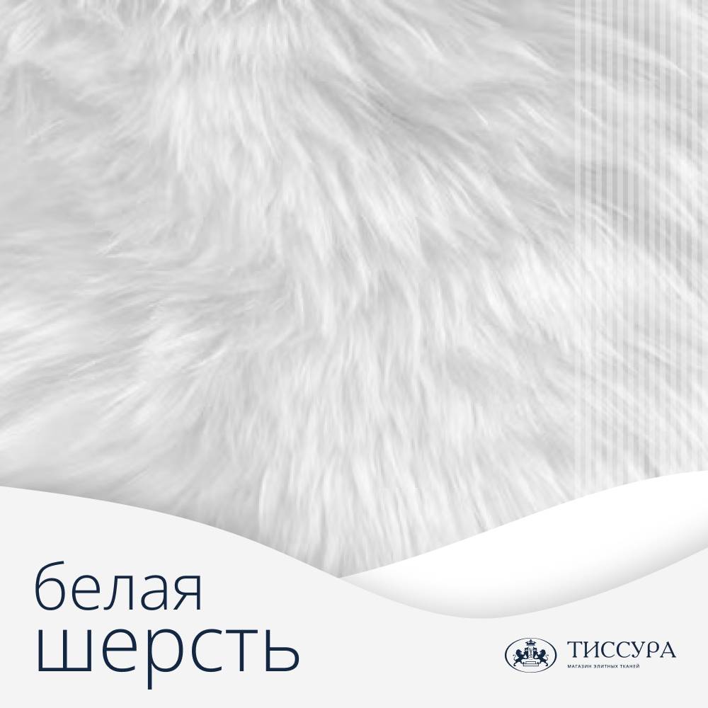 Логотип ''Белая шерсть'' Логотип ''Белая шерсть''