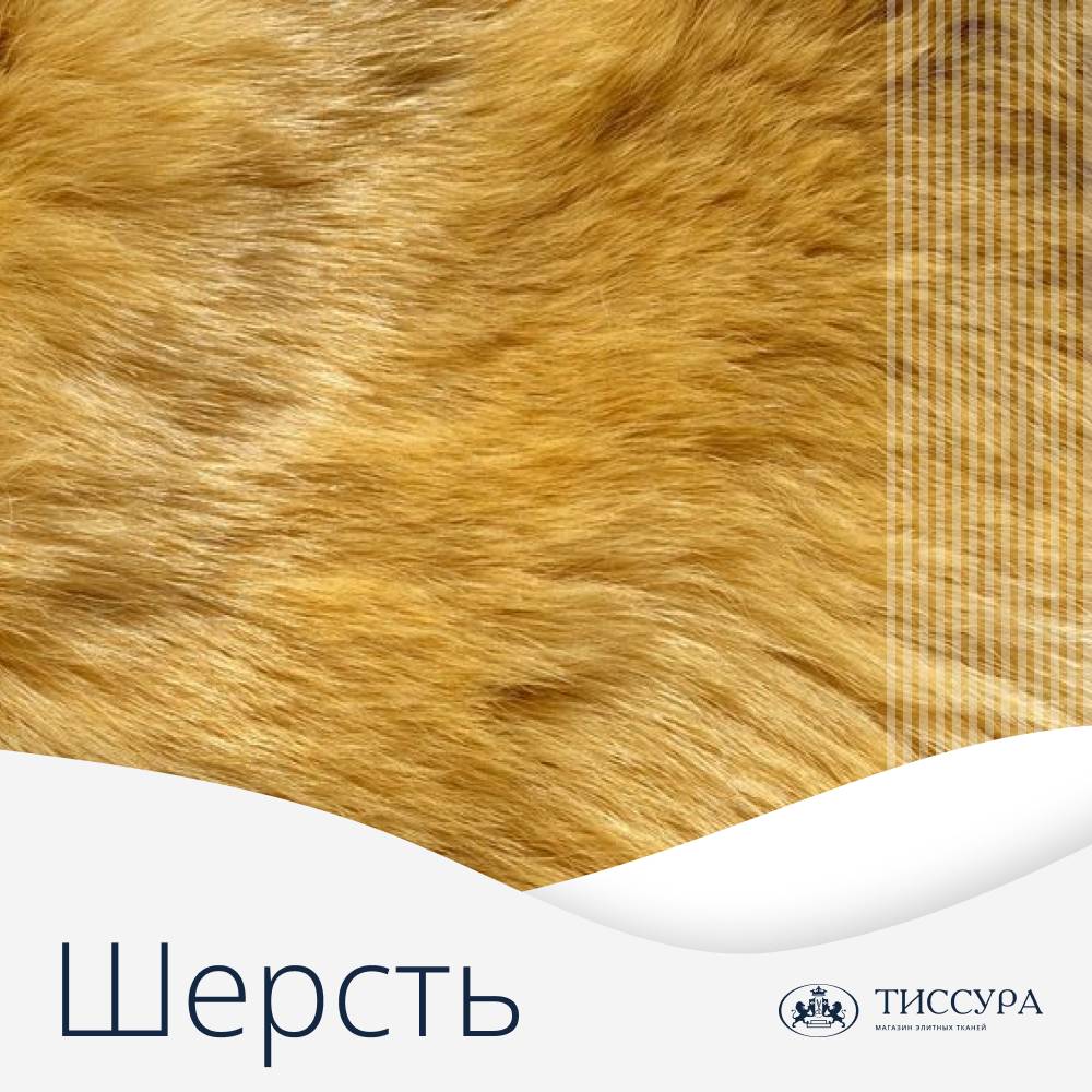 Логотип ''Сколько стоит шерсть'' Логотип ''Сколько стоит шерсть''